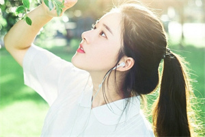 上海新茶网：Impressions essay